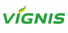 vignis