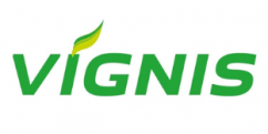 vignis